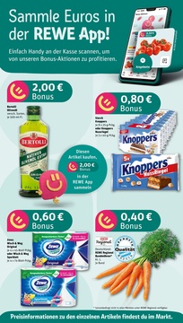 REWE Prospekt - Angebote ab 11.08.