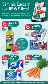 REWE Prospekt - Angebote ab 11.08.