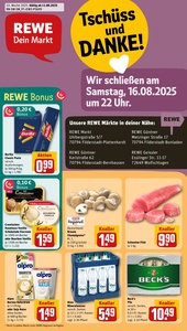 REWE Prospekt - Angebote ab 11.08.