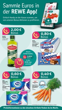REWE Prospekt - Angebote ab 11.08.