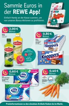 REWE Prospekt - Angebote ab 11.08.