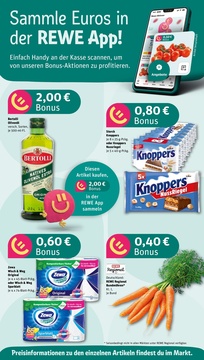 REWE Prospekt - Angebote ab 11.08.