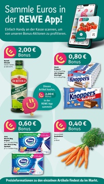 REWE Prospekt - Angebote ab 11.08.