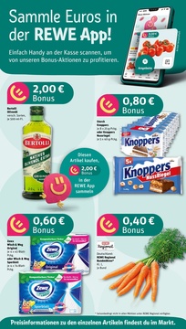 REWE Prospekt - Angebote ab 11.08.
