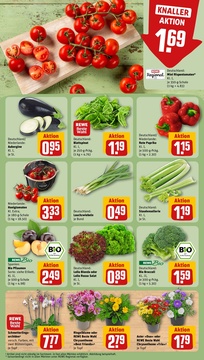 REWE Prospekt - Angebote ab 11.08.