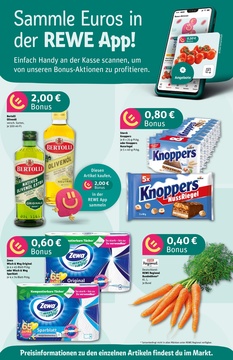 REWE Prospekt - Angebote ab 11.08.