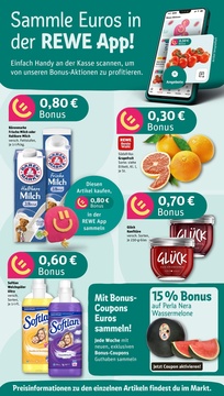 REWE Prospekt - Angebote ab 18.08.
