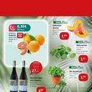 REWE Prospekt Seite 3
