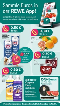 REWE Prospekt - Angebote ab 18.08.