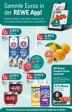 REWE Prospekt - Angebote ab 18.08.