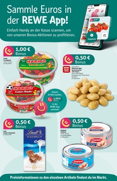 REWE Prospekt - Angebote ab 25.08.