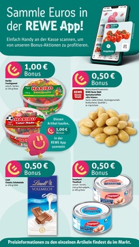 REWE Prospekt - Angebote ab 25.08.