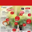 REWE Prospekt Seite 2