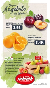 REWE Prospekt - Angebote ab 01.09.