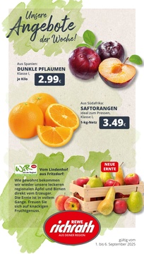 REWE Prospekt - Angebote ab 01.09.