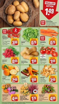 REWE Prospekt - Angebote ab 01.09.