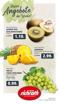 REWE Prospekt - Angebote ab 08.09.