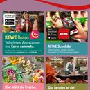 REWE Prospekt Seite 2