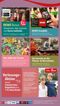REWE Prospekt - Angebote ab 08.09.