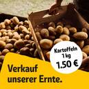 REWE Prospekt Seite 3