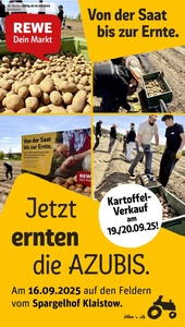 REWE Prospekt - Angebote ab 15.09.