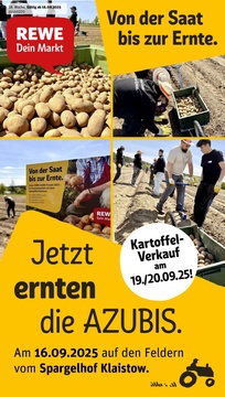 REWE Prospekt - Angebote ab 15.09.