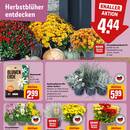 REWE Prospekt Seite 5
