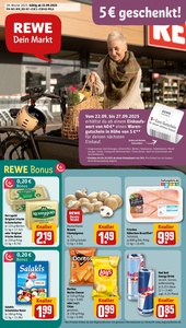 REWE Prospekt - Angebote ab 22.09.