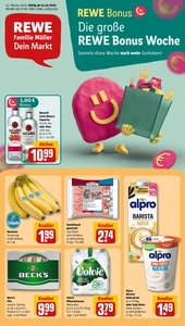 REWE Prospekt - Angebote ab 13.10.