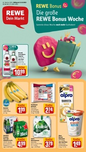REWE Prospekt - Angebote ab 13.10.
