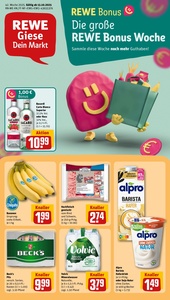 REWE Prospekt - Angebote ab 13.10.