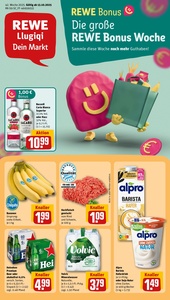 REWE Prospekt - Angebote ab 13.10.