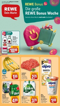 REWE Prospekt - Angebote ab 13.10.