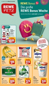 REWE Prospekt - Angebote ab 13.10.