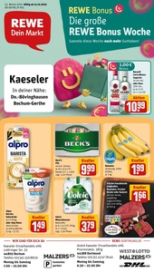 REWE Prospekt - Angebote ab 13.10.