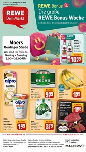 REWE Prospekt - Angebote ab 13.10.
