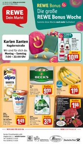 REWE Prospekt - Angebote ab 13.10.