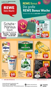 REWE Prospekt - Angebote ab 13.10.