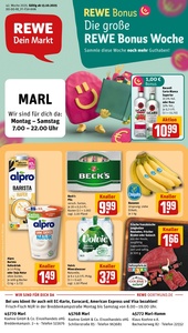REWE Prospekt - Angebote ab 13.10.