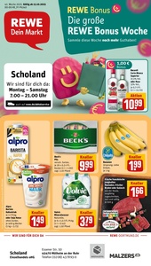 REWE Prospekt - Angebote ab 13.10.
