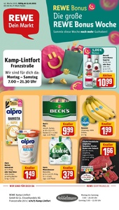 REWE Prospekt - Angebote ab 13.10.