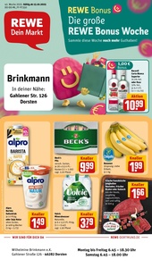 REWE Prospekt - Angebote ab 13.10.