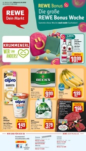 REWE Prospekt - Angebote ab 13.10.