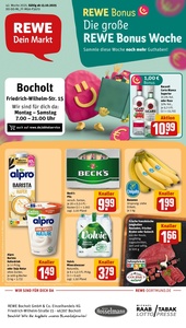 REWE Prospekt - Angebote ab 13.10.