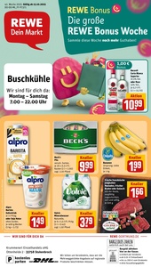 REWE Prospekt - Angebote ab 13.10.