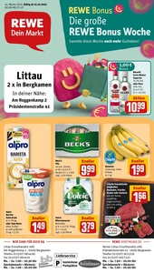 REWE Prospekt - Angebote ab 13.10.