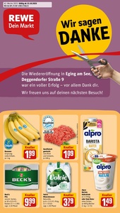REWE Prospekt - Angebote ab 13.10.