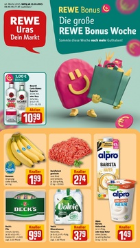 REWE Prospekt - Angebote ab 13.10.