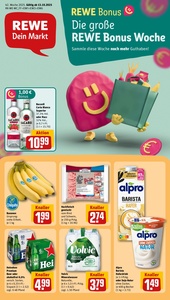 REWE Prospekt - Angebote ab 13.10.