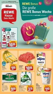 REWE Prospekt - Angebote ab 13.10.